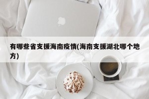 有哪些省支援海南疫情(海南支援湖北哪个地方)