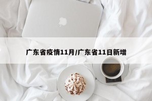 广东省疫情11月/广东省11日新增
